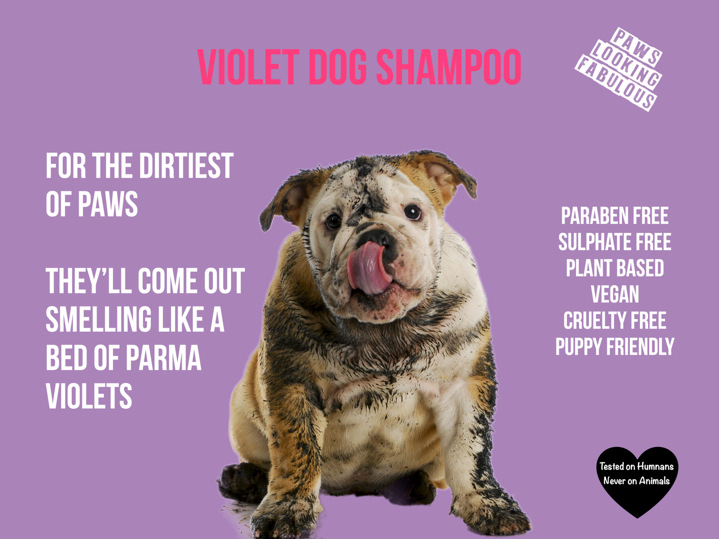 Violet - Shampoo